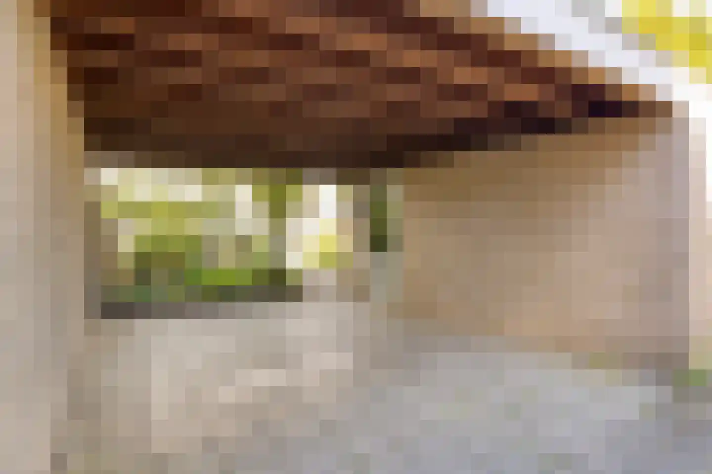 van Leeuwenhoeklaan 38 Doetinchem thumbnail 37