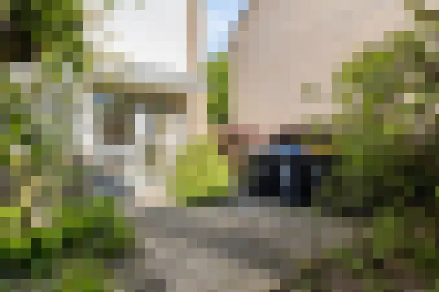 van Leeuwenhoeklaan 38 Doetinchem thumbnail 4