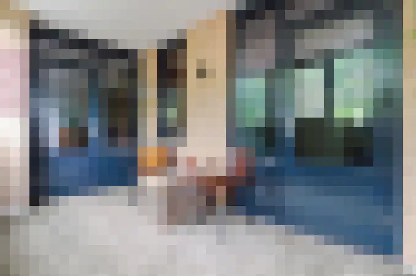 Van Leeuwenhoeklaan 38 Roosendaal thumbnail 35