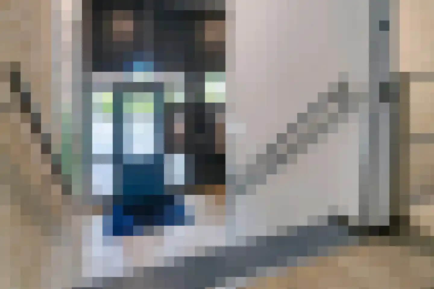 Van Leeuwenhoeklaan 38 Roosendaal thumbnail 7