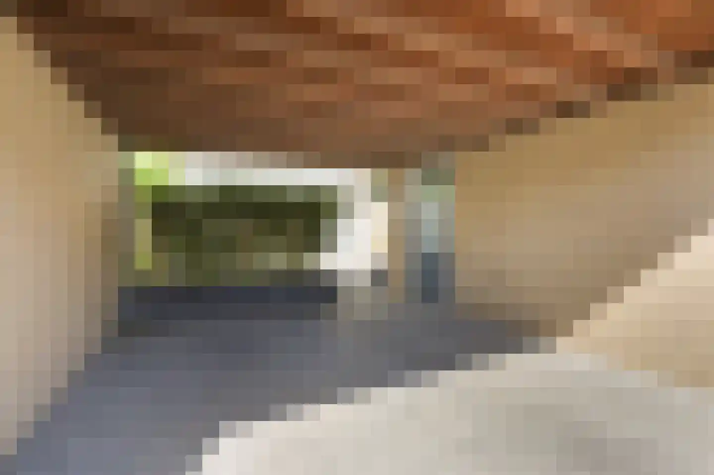 van Leeuwenhoeklaan 40 Doetinchem thumbnail 15