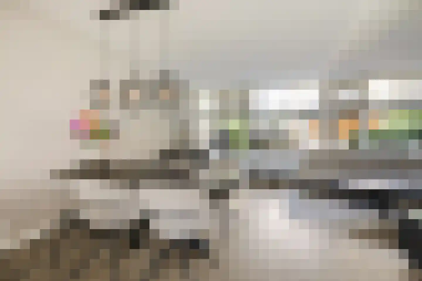 van Leeuwenhoeklaan 40 Doetinchem thumbnail 23