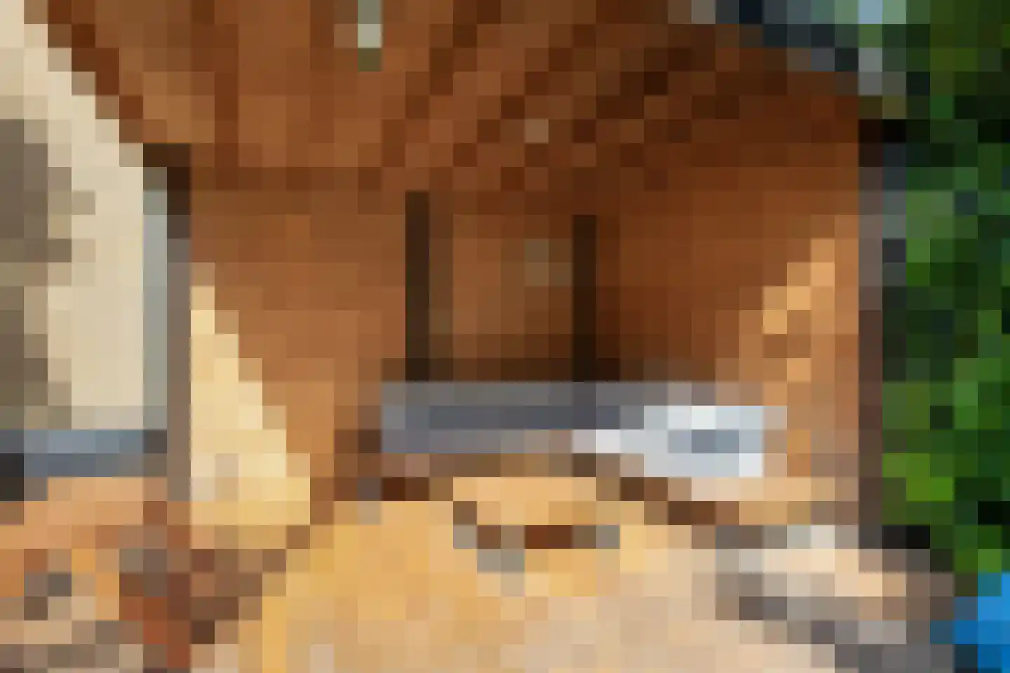 van Leeuwenhoeklaan 40 Doetinchem thumbnail 31