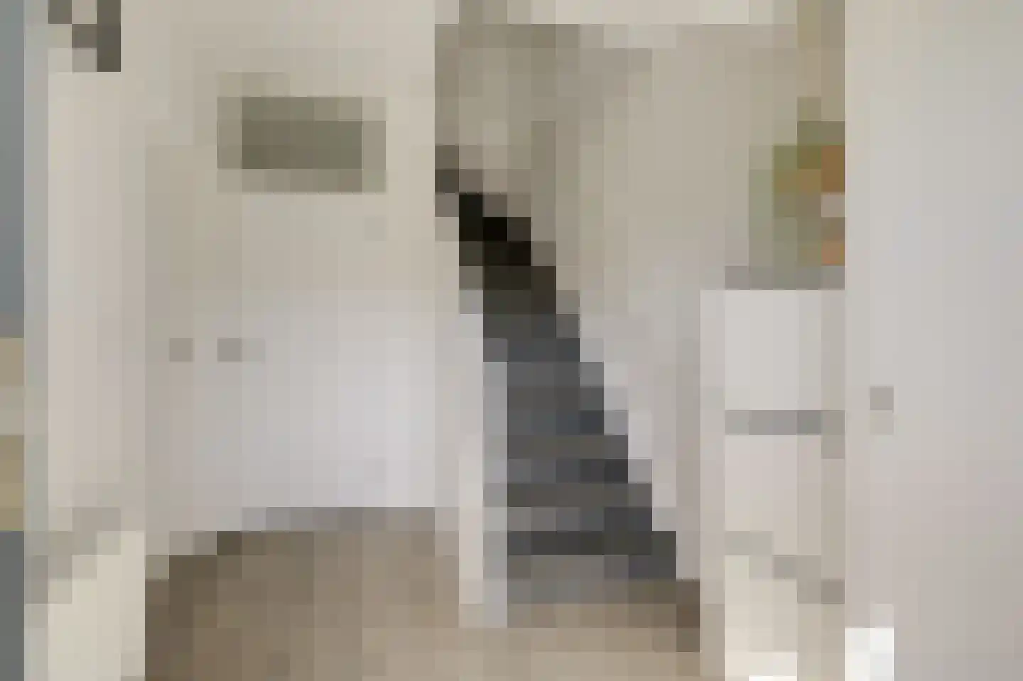 van Leeuwenhoeklaan 40 Doetinchem thumbnail 33