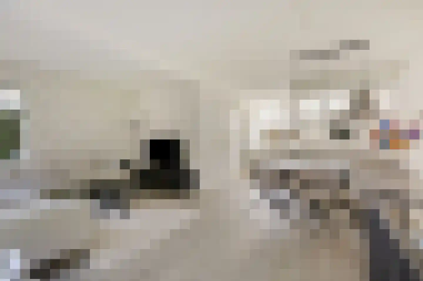 van Leeuwenhoeklaan 40 Doetinchem thumbnail 4