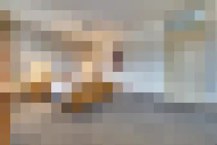 Van Leeuwenhoeklaan 40 Vlijmen thumbnail 12