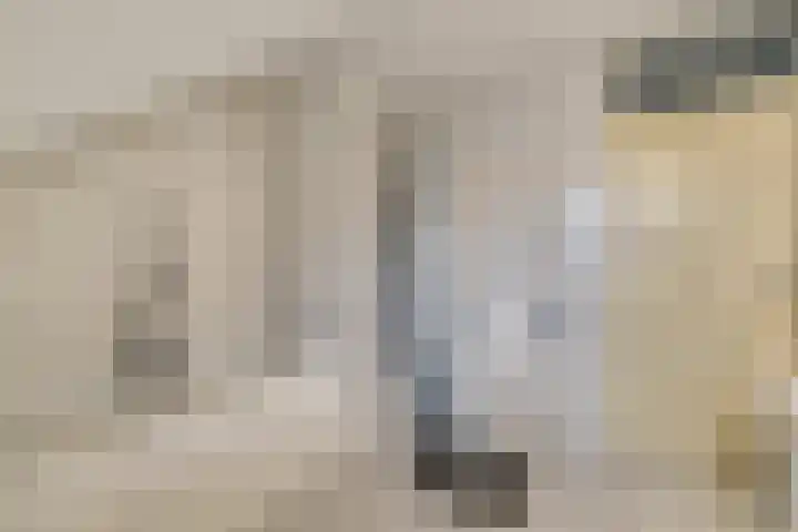 Van Leeuwenhoeklaan 40 Vlijmen thumbnail 15