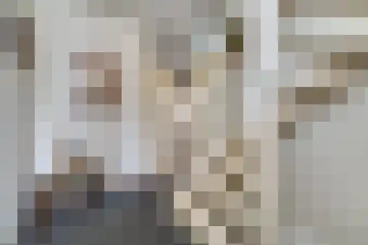 Van Leeuwenhoeklaan 40 Vlijmen thumbnail 17