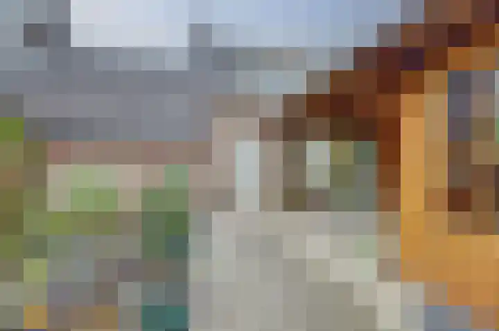 Van Leeuwenhoeklaan 40 Vlijmen thumbnail 20