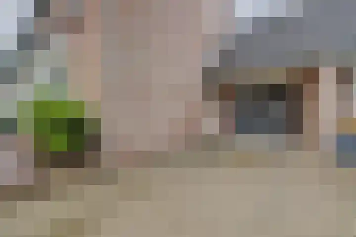 Van Leeuwenhoeklaan 40 Vlijmen thumbnail 25