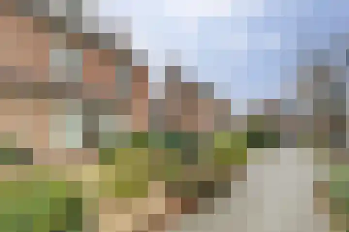 Van Leeuwenhoeklaan 40 Vlijmen thumbnail 27