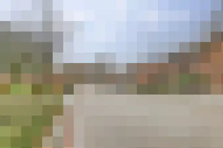 Van Leeuwenhoeklaan 40 Vlijmen thumbnail 28