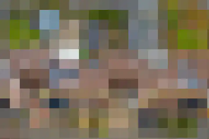 Van Leeuwenhoeklaan 40 Vlijmen thumbnail 29