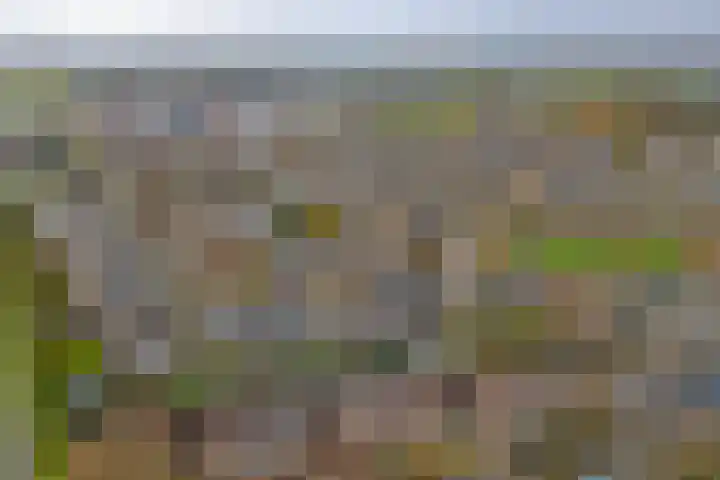 Van Leeuwenhoeklaan 40 Vlijmen thumbnail 30