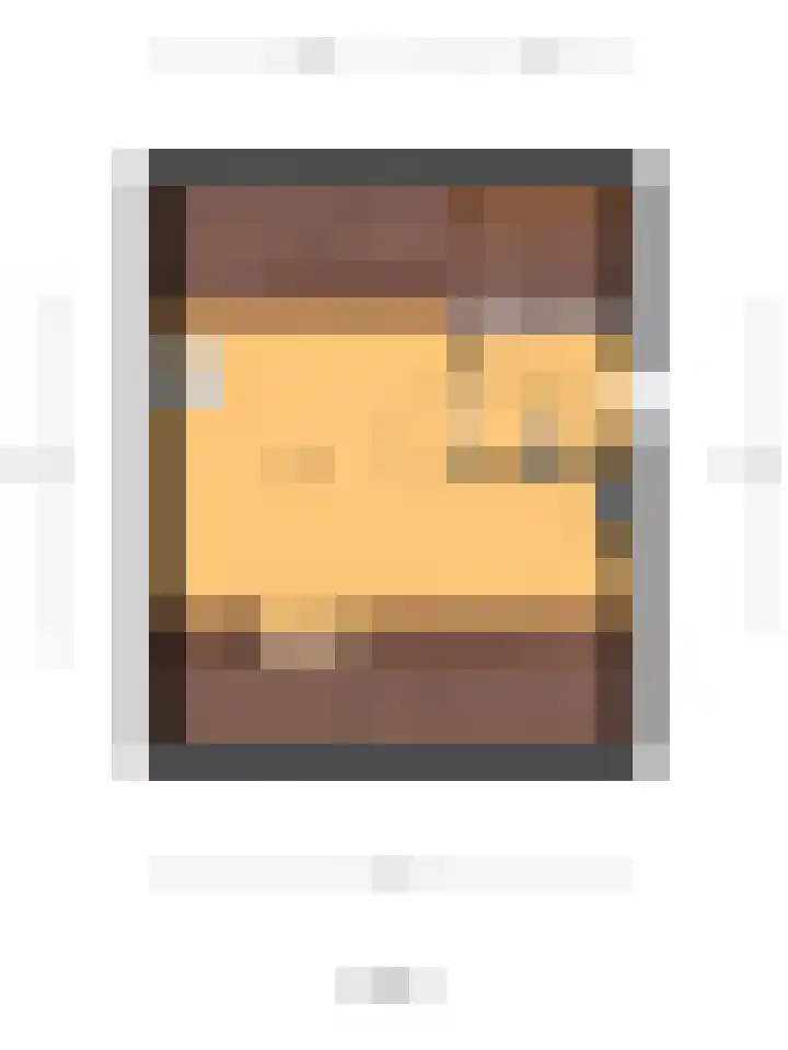 Van Leeuwenhoeklaan 40 Vlijmen thumbnail 35