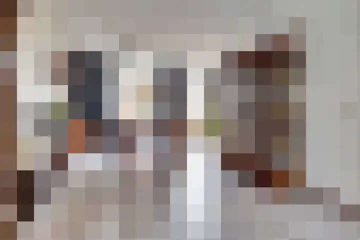 Van Leeuwenhoeklaan 40 Vlijmen thumbnail 4