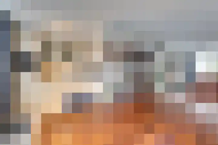 Van Leeuwenhoeklaan 40 Vlijmen thumbnail 6