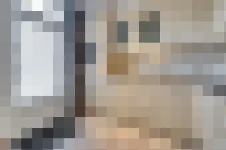 Van Leeuwenhoeklaan 40 Vlijmen thumbnail 7