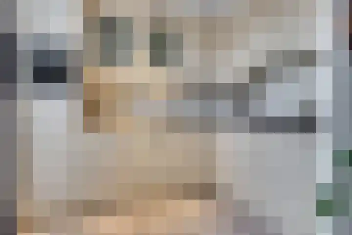 Van Leeuwenhoeklaan 40 Vlijmen thumbnail 8