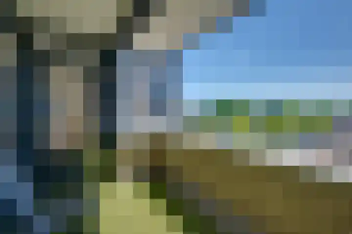 Van Leeuwenhoeklaan 406 Roosendaal thumbnail 12