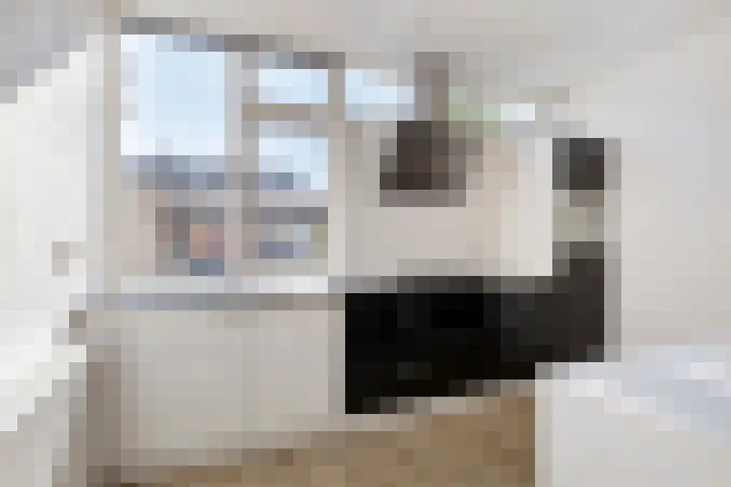 van Leeuwenhoeklaan 46 Doetinchem thumbnail 5