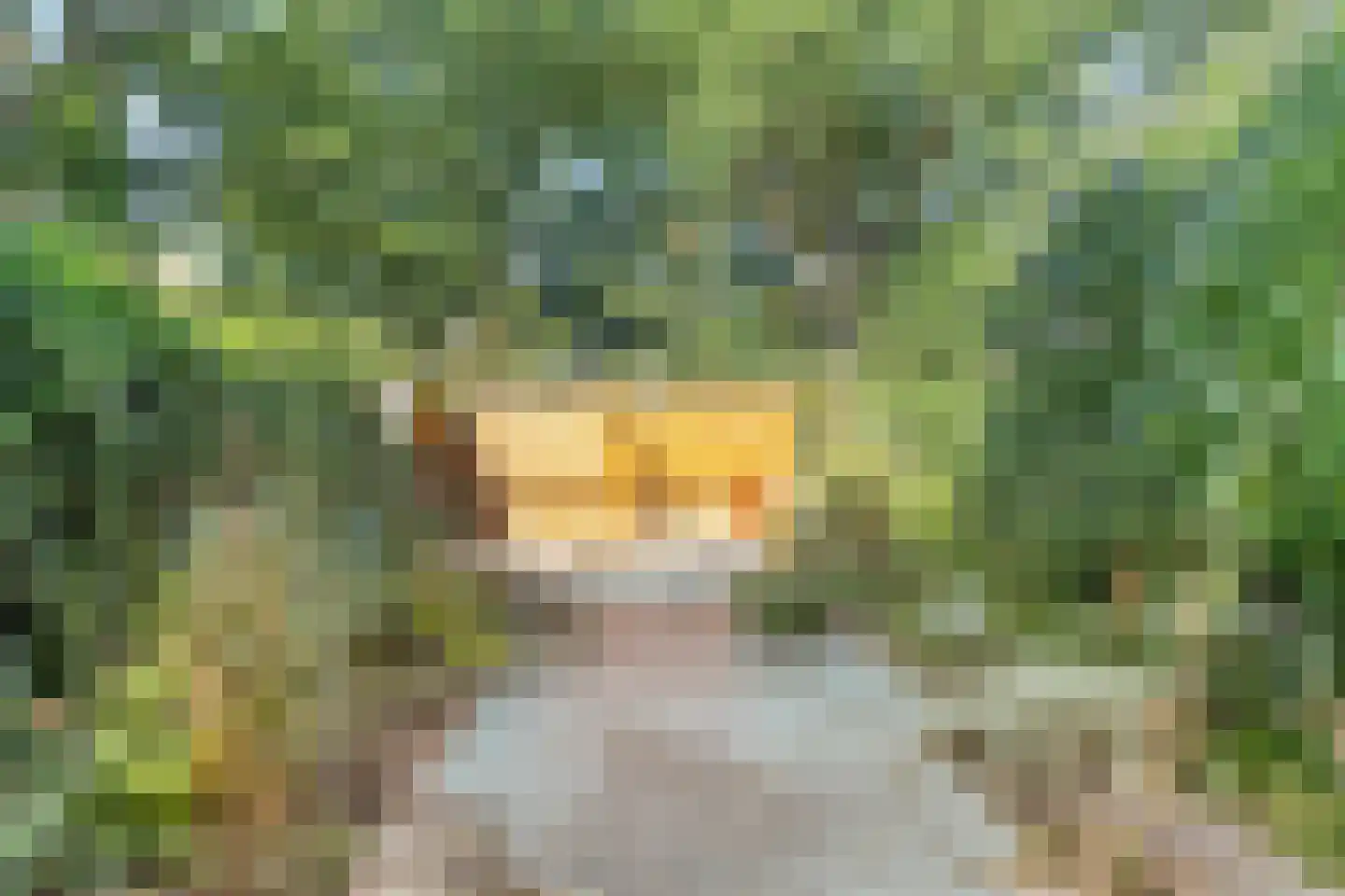 van Leeuwenhoeklaan 46 Doetinchem thumbnail 9