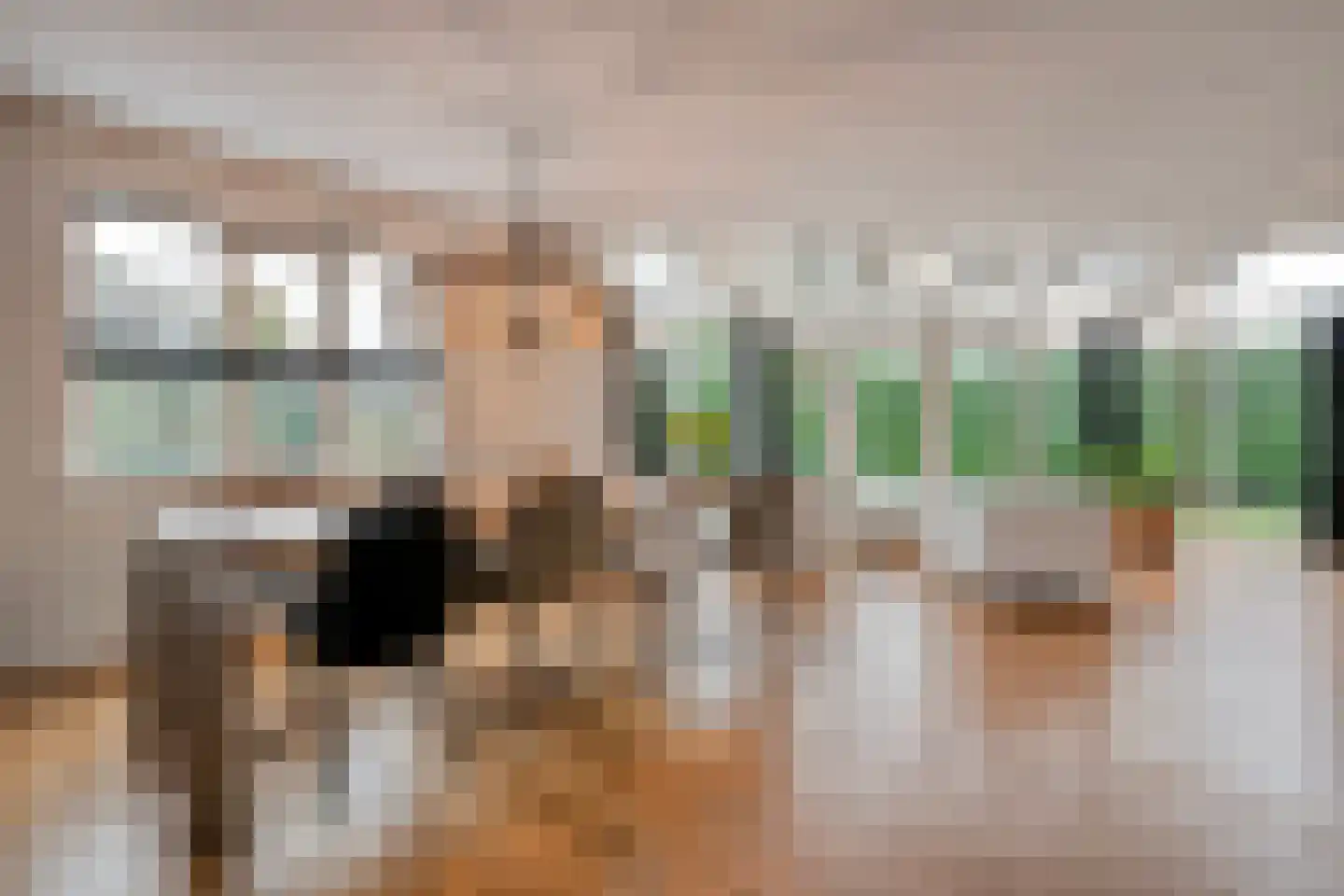 Van Leeuwenhoeklaan 46 Zwolle thumbnail 15