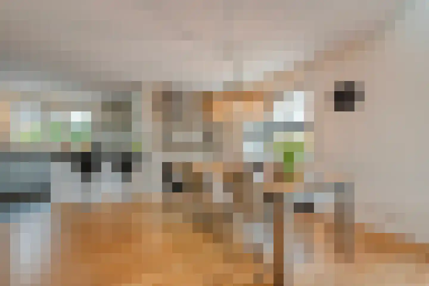 Van Leeuwenhoeklaan 46 Zwolle thumbnail 16