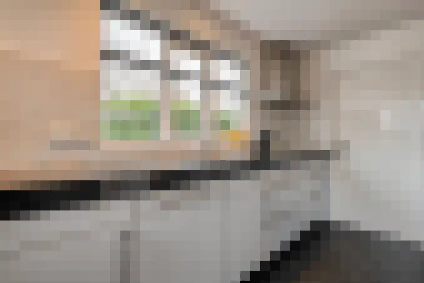 Van Leeuwenhoeklaan 46 Zwolle thumbnail 22