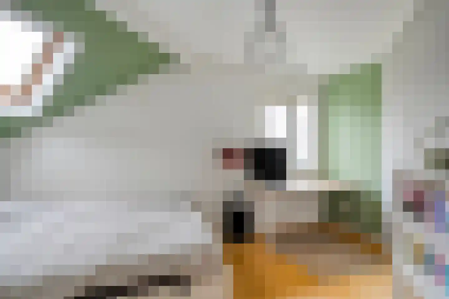 Van Leeuwenhoeklaan 46 Zwolle thumbnail 34