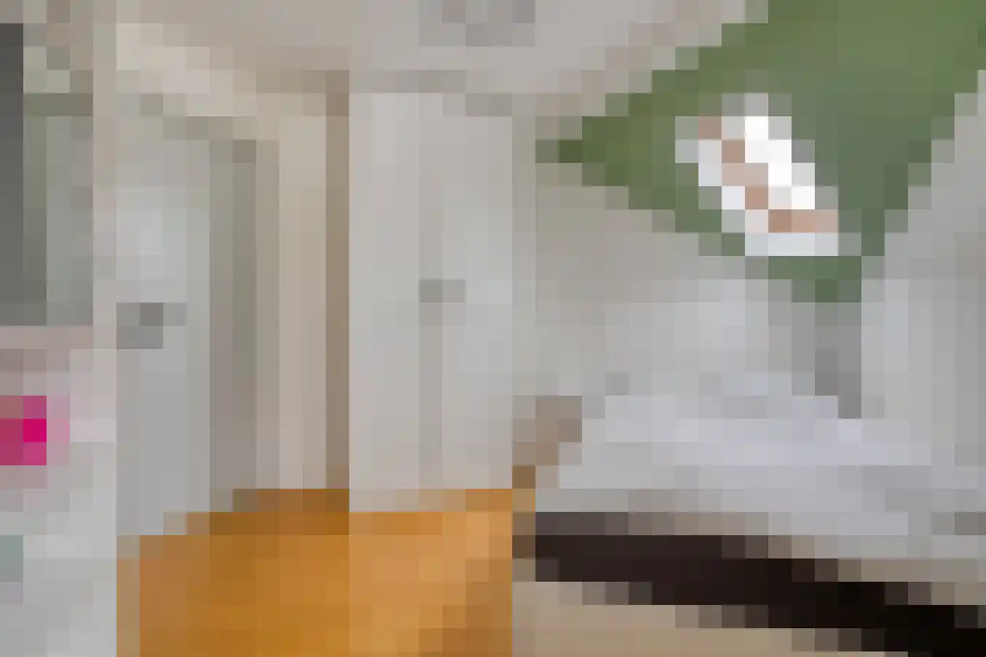 Van Leeuwenhoeklaan 46 Zwolle thumbnail 35