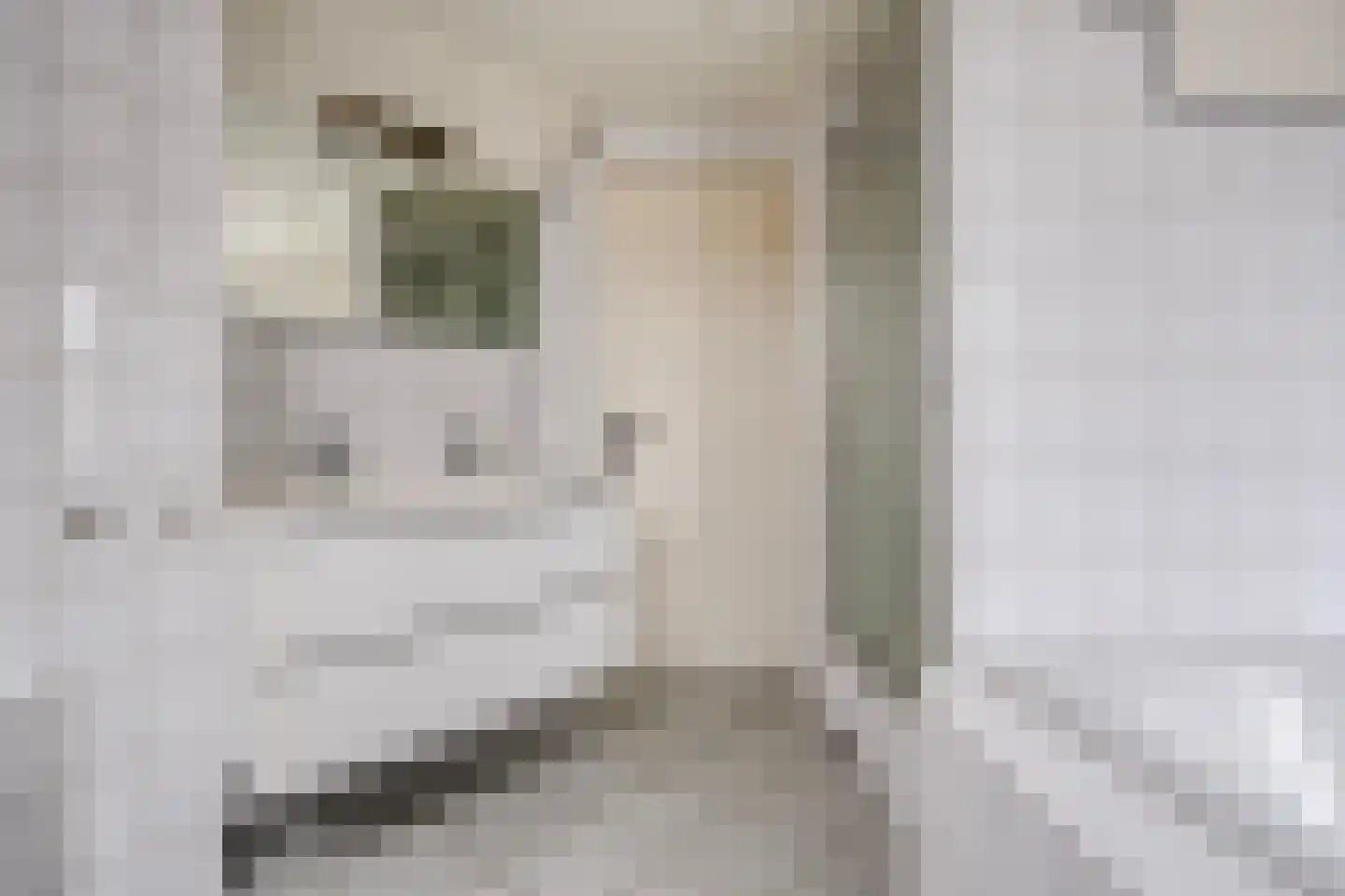 Van Leeuwenhoeklaan 46 Zwolle thumbnail 39