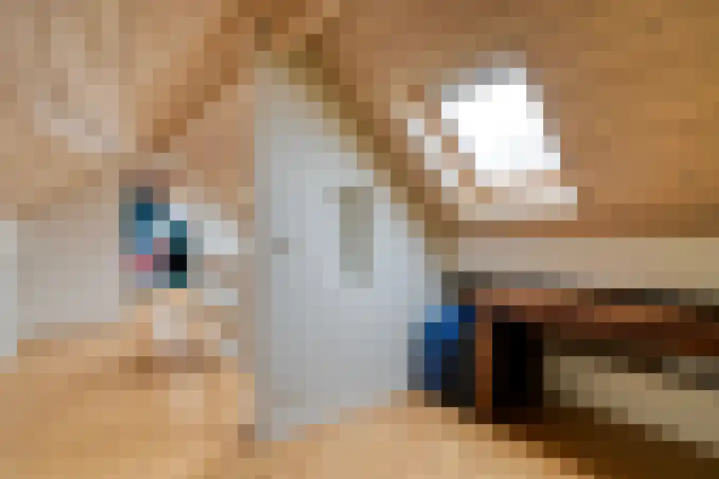 Van Leeuwenhoeklaan 46 Zwolle thumbnail 42