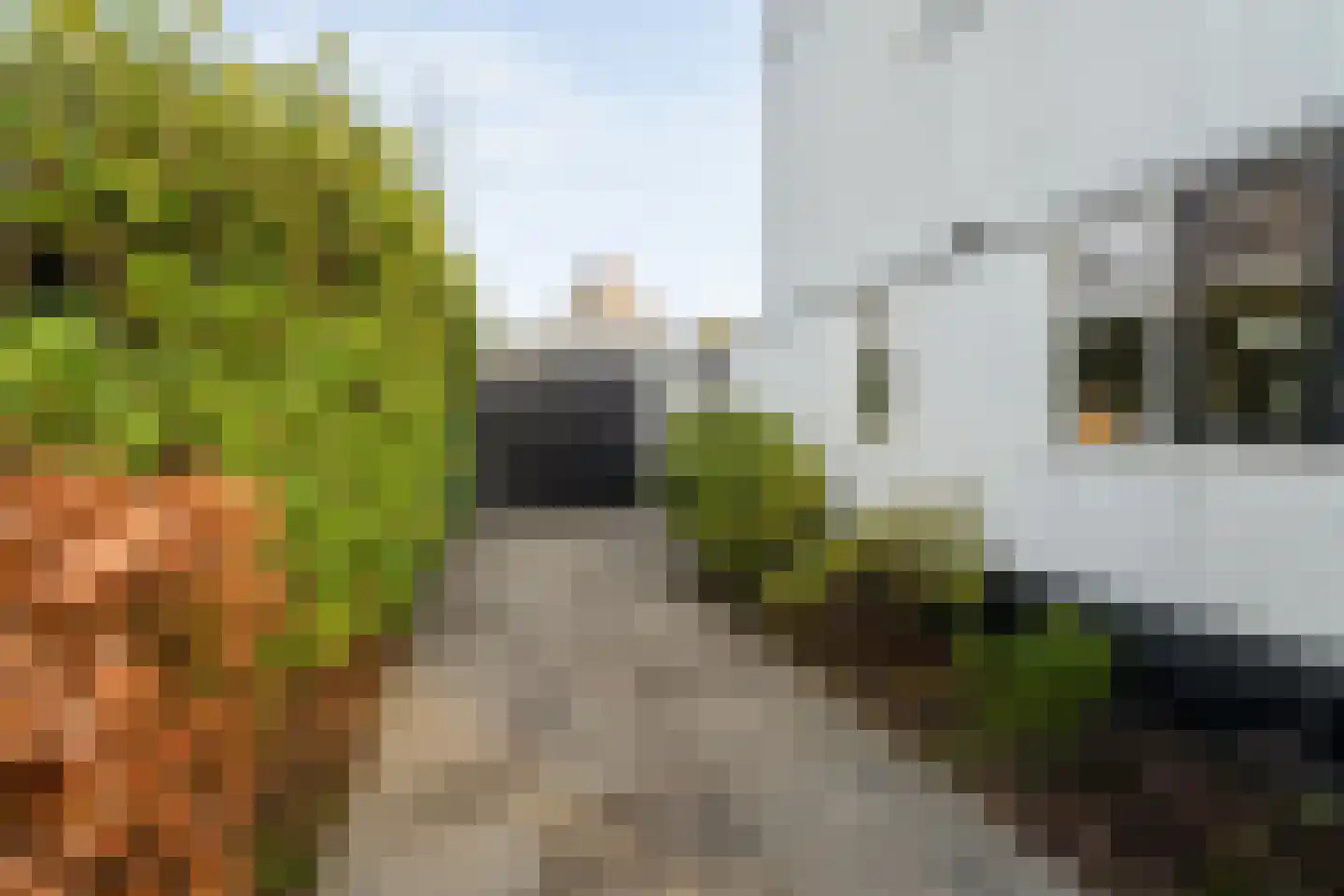 Van Leeuwenhoeklaan 46 Zwolle thumbnail 51