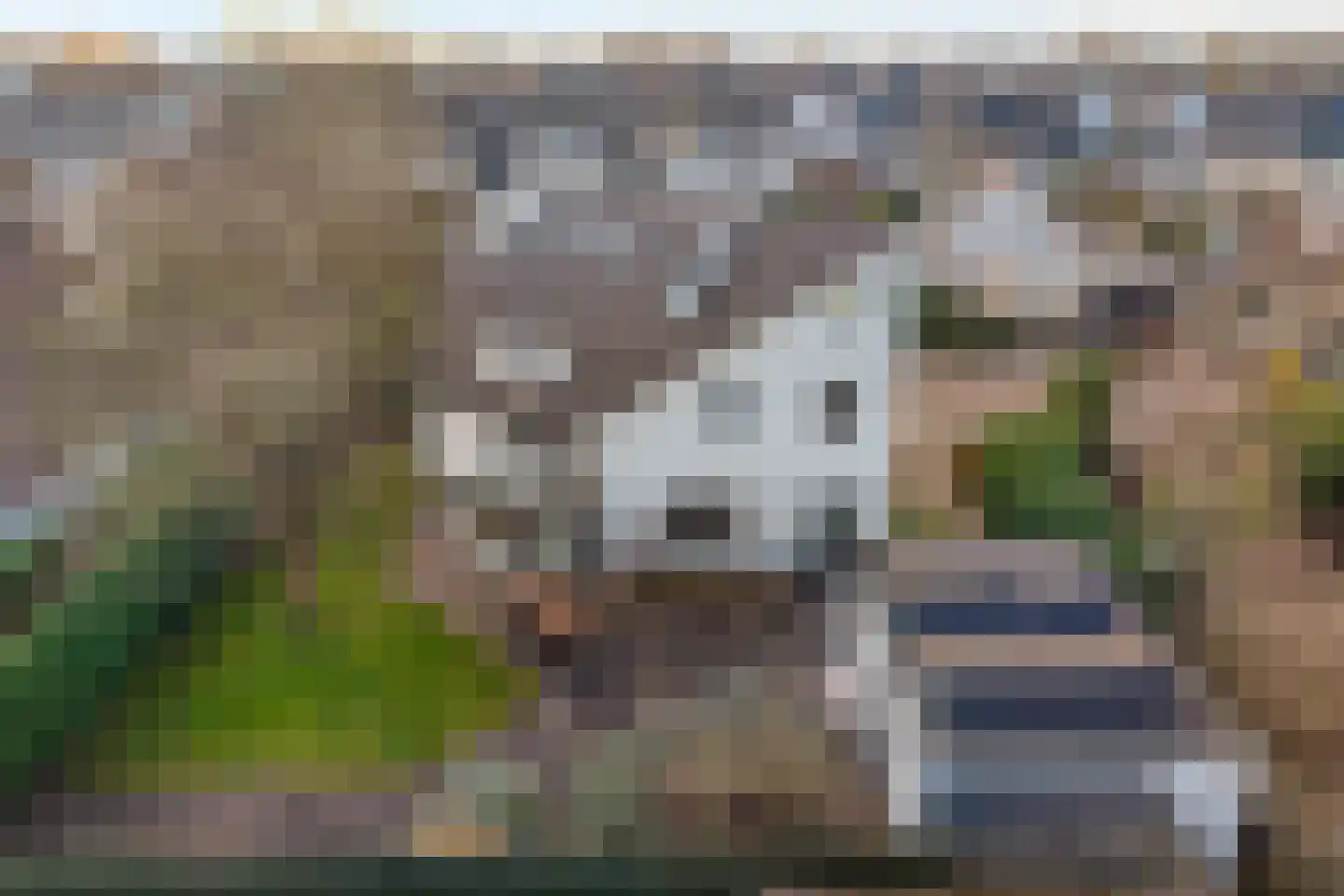 Van Leeuwenhoeklaan 46 Zwolle thumbnail 55