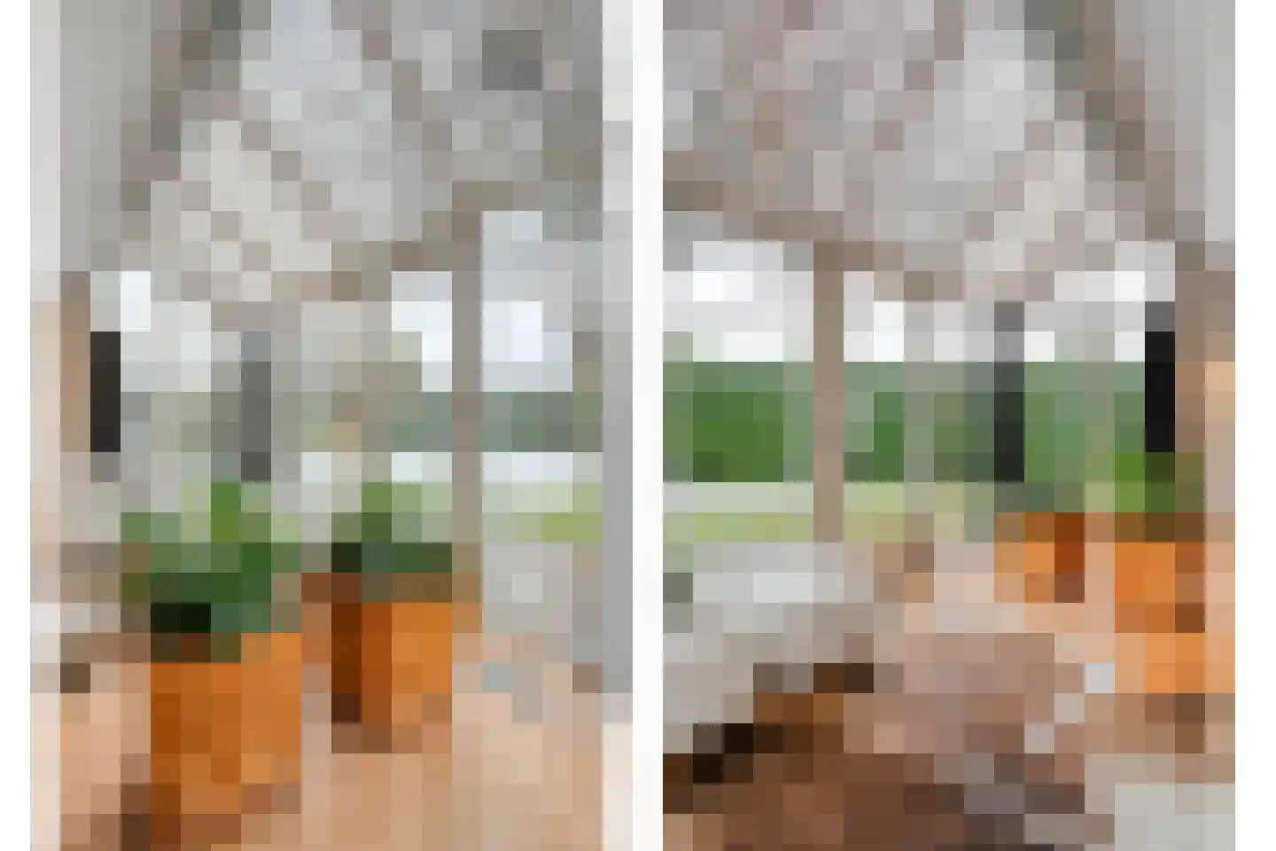 Van Leeuwenhoeklaan 46 Zwolle thumbnail 8