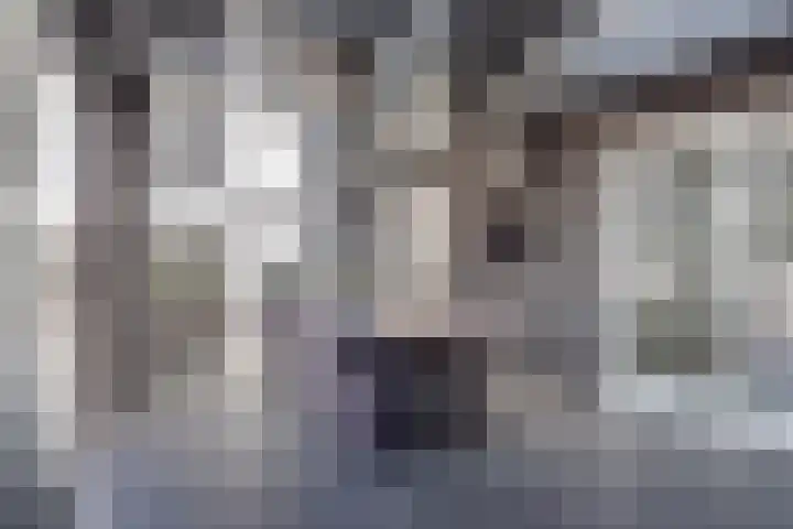 Van Leeuwenhoeklaan 47 Almelo thumbnail 12