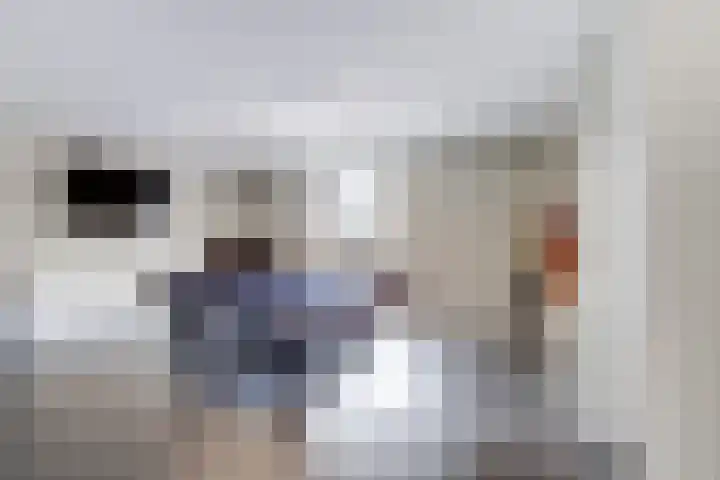 Van Leeuwenhoeklaan 47 Almelo thumbnail 14