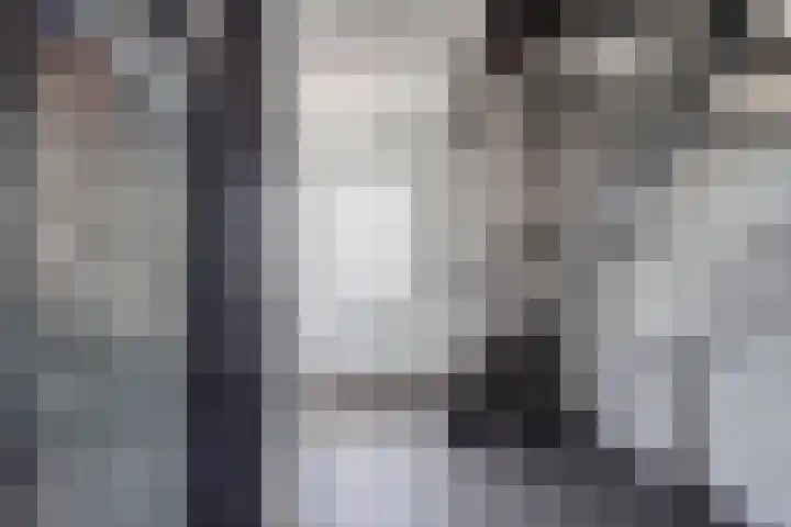 Van Leeuwenhoeklaan 47 Almelo thumbnail 18