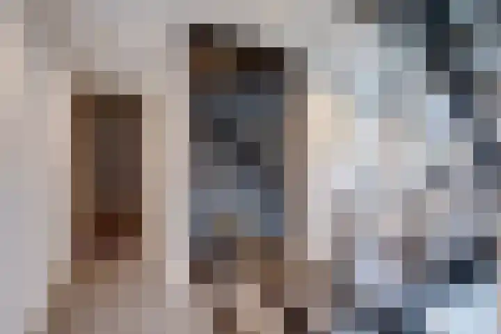Van Leeuwenhoeklaan 47 Almelo thumbnail 19