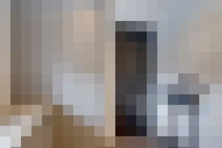 Van Leeuwenhoeklaan 47 Almelo thumbnail 24