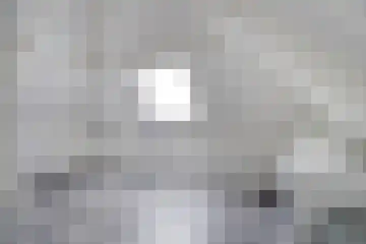Van Leeuwenhoeklaan 47 Almelo thumbnail 34