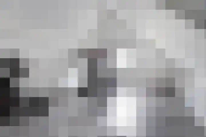 Van Leeuwenhoeklaan 47 Almelo thumbnail 36