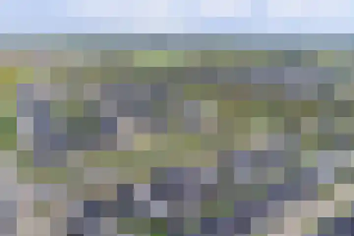 Van Leeuwenhoeklaan 47 Almelo thumbnail 45