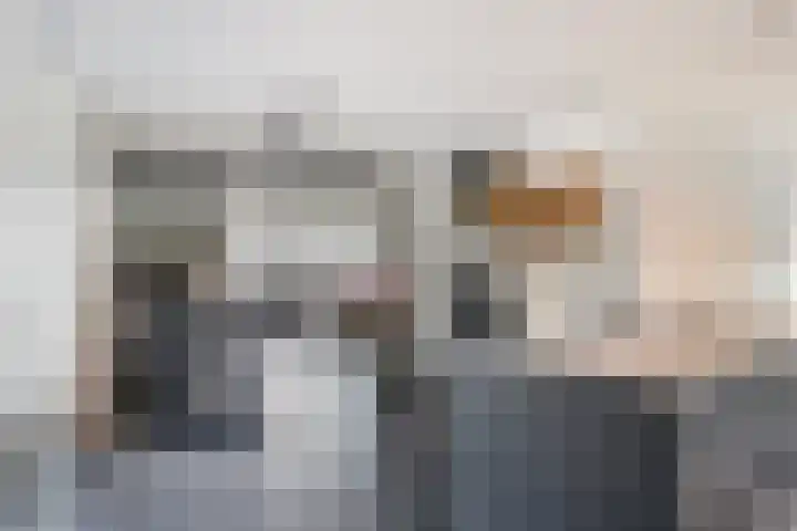 Van Leeuwenhoeklaan 47 Almelo thumbnail 8