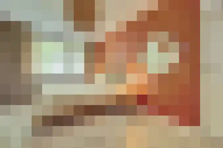 Van Leeuwenhoeklaan 52 Vlijmen thumbnail 17