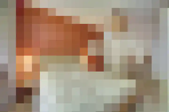 Van Leeuwenhoeklaan 52 Vlijmen thumbnail 18