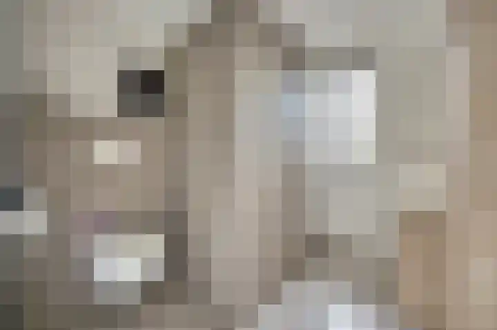 Van Leeuwenhoeklaan 52 Vlijmen thumbnail 20