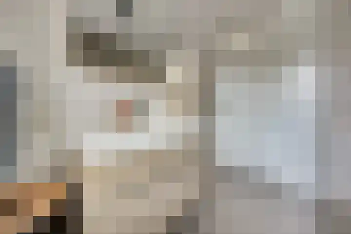 Van Leeuwenhoeklaan 52 Vlijmen thumbnail 21