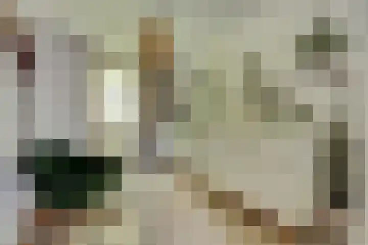 Van Leeuwenhoeklaan 52 Vlijmen thumbnail 23